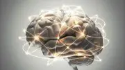 Brain Boost Intelligence Increase Illustration