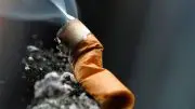 Cigarette Butt Smoke