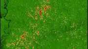 Landsat Amazon Mortality Map