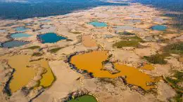 Shallow Mining Ponds La Pampa Region Madre de Dios Peru